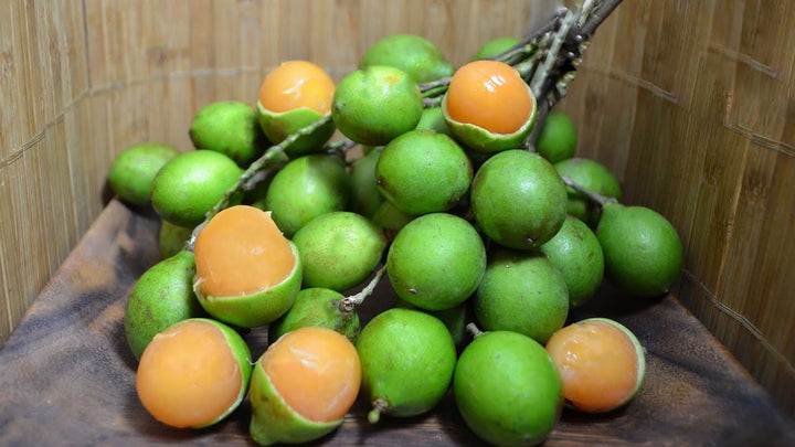 Mamoncillo Fruit Seeds for Planting – Heirloom Non-GMO, High Germination Organic Garden Seeds