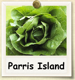Parris Island herb seeds