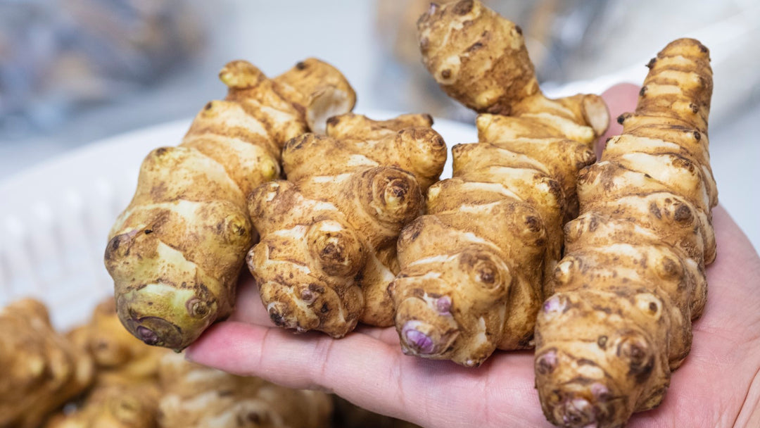 Jerusalem Artichoke Seeds – Unique Vegetable, Heirloom, Non-GMO, Organic Garden Seeds