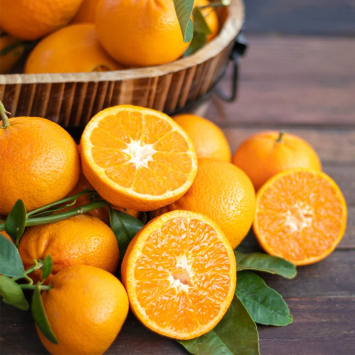 Orange Seeds And Growing for Planting – Heirloom Non-GMO High Germination Organic Garden Seeds