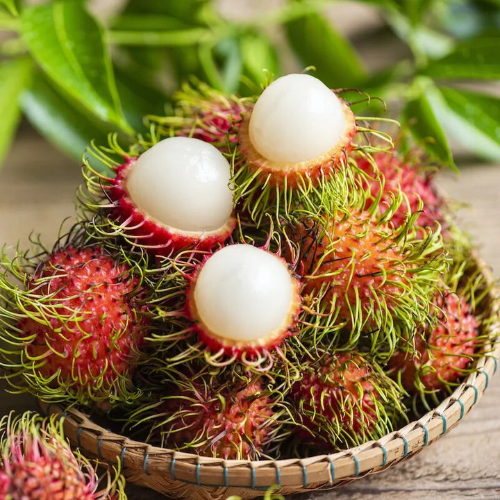 Rambutan Fruit Seeds for Planting – Heirloom Non-GMO, High Germination Organic Garden Seeds