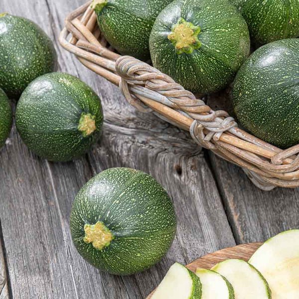 rare round flower seeds