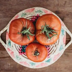 red brandywine flower seeds