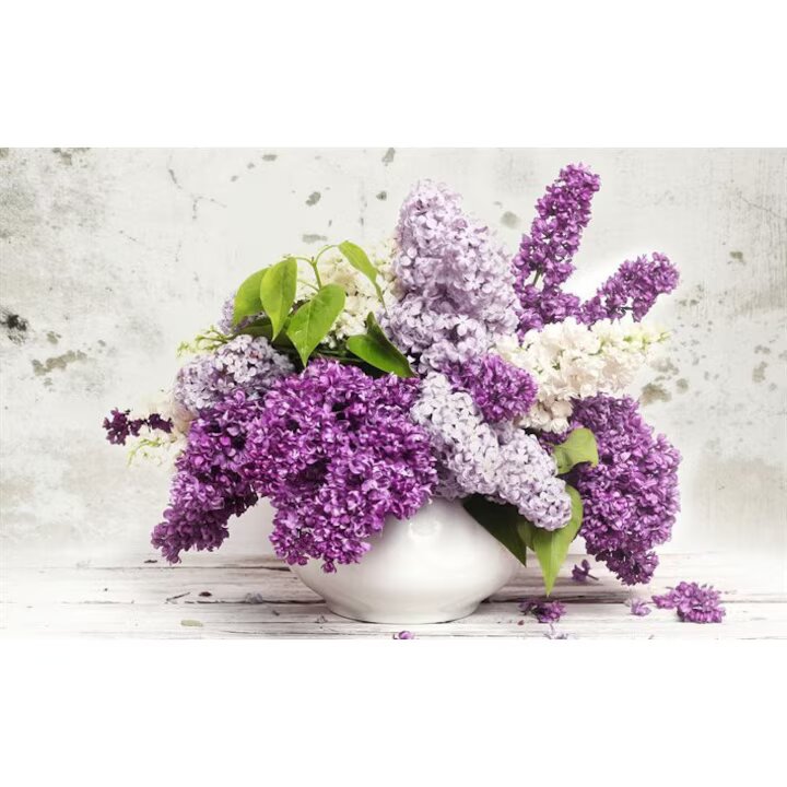 Mixed Lilac Flower Seeds For Gardens – Heirloom, Non-GMO, High Germination Seeds