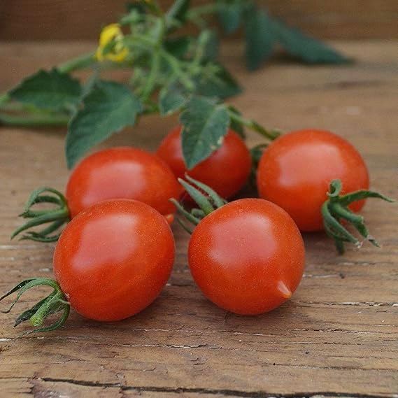 riesentraube tomato flower seeds
