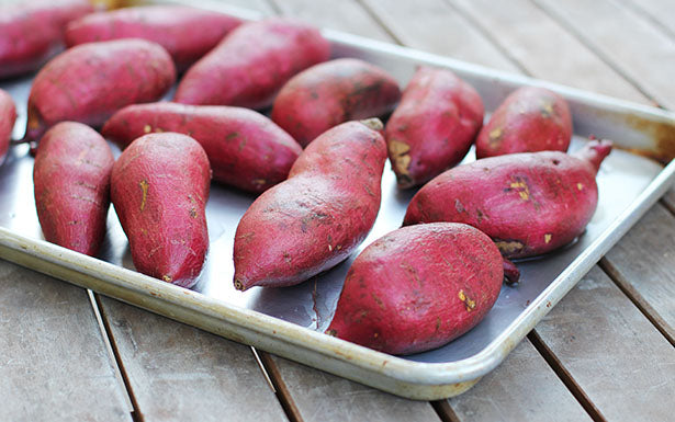 Japanese Sweet Potato Seeds for Planting - Pink Variety, Heirloom, Non-GMO, Organic Garden Seeds, High Germination