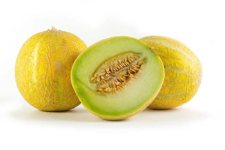 Lemon Drop Melon Seeds for Planting – Heirloom Non-GMO High Germination Organic Garden Seeds Sweet Citrusy Melon Seeds for Your Garden