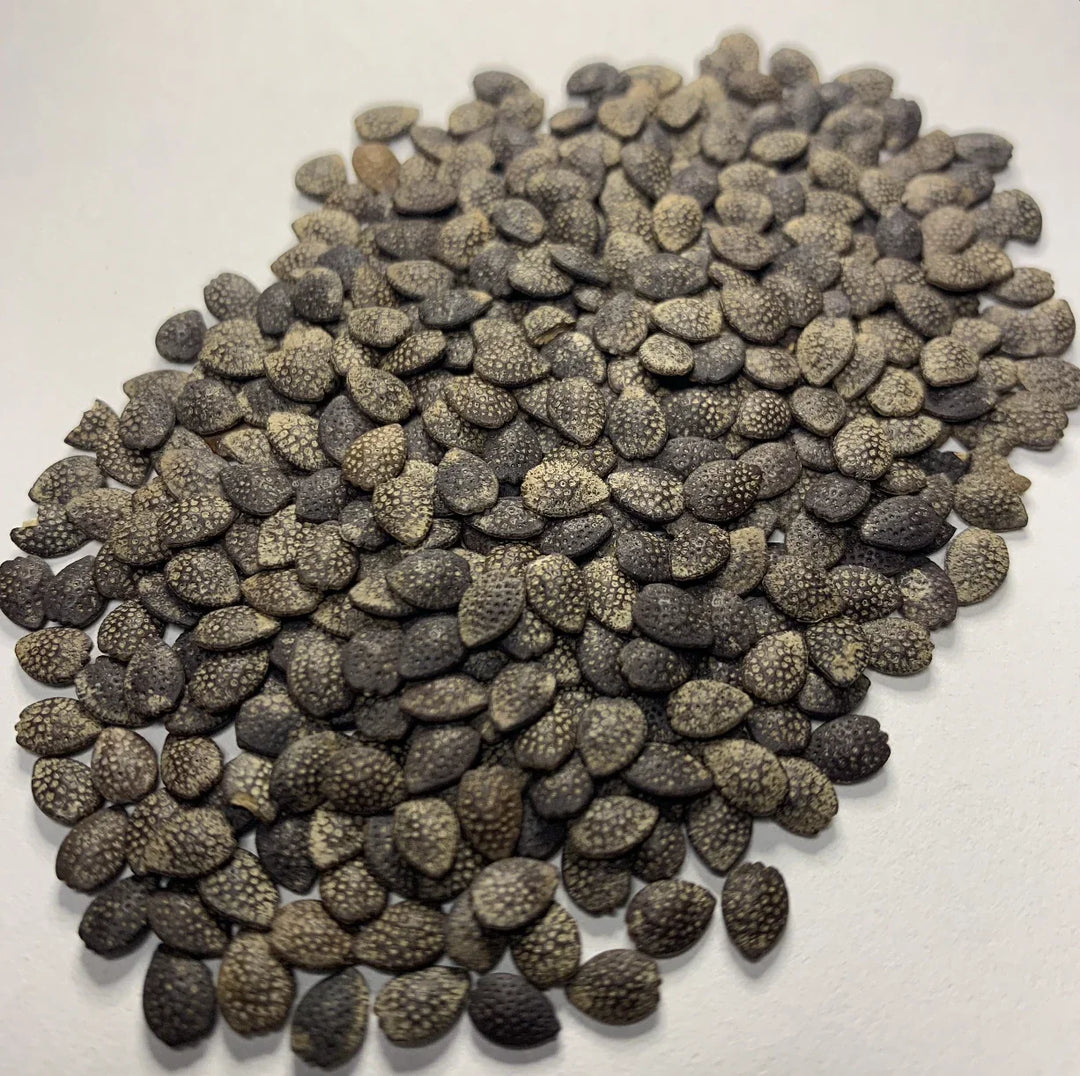 passion flower flower seeds