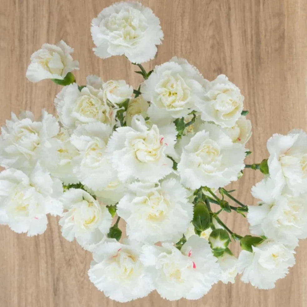 white mini flower seeds