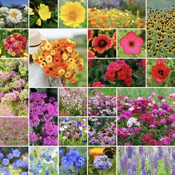flower mix flower seeds