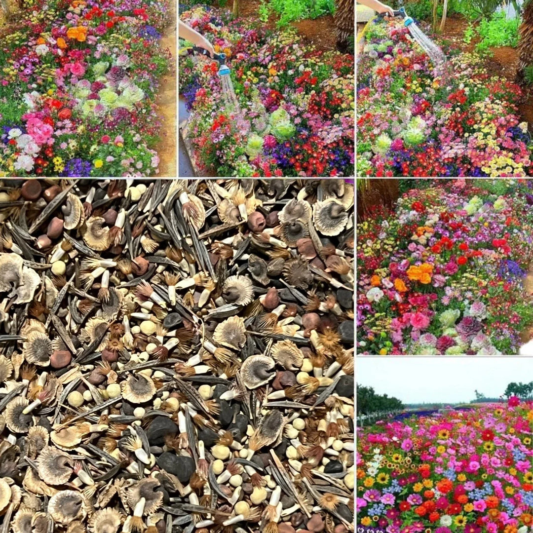 seasonal enchantment flower seeds