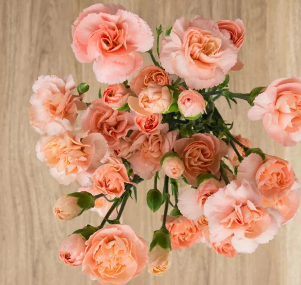 peach mini flower seeds