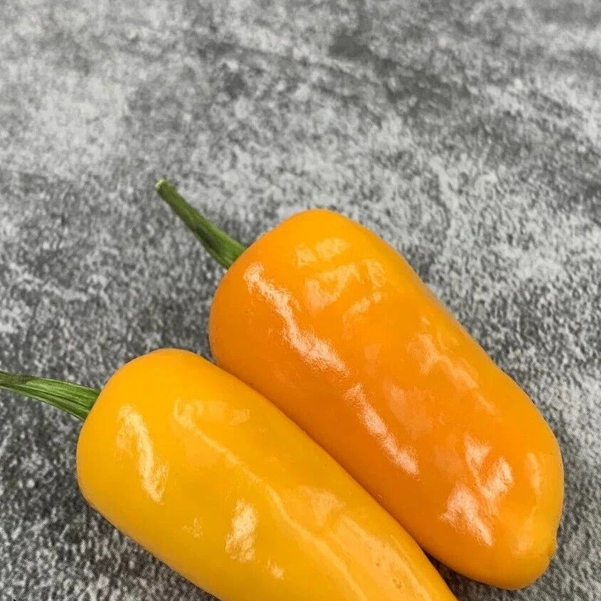 datil pepper flower seeds