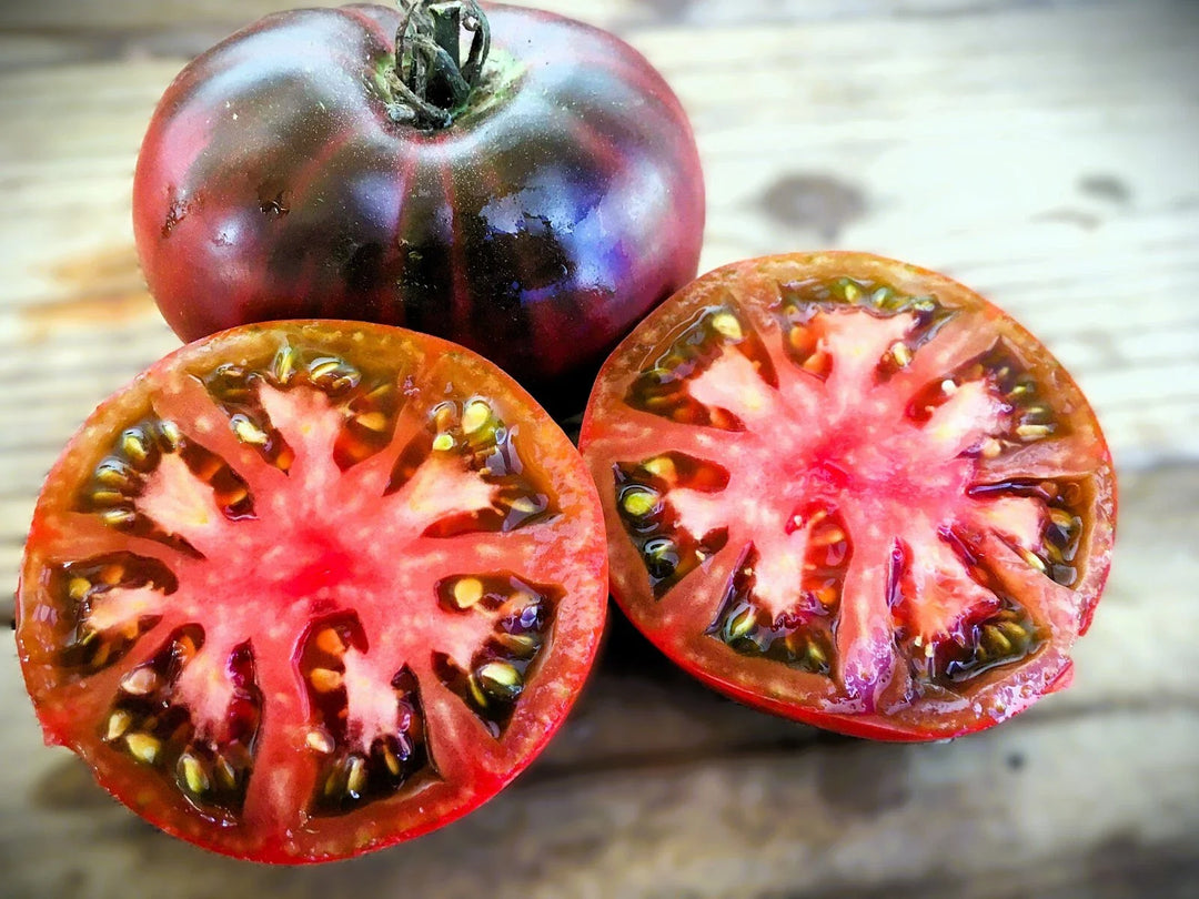 purple cherokee flower seeds