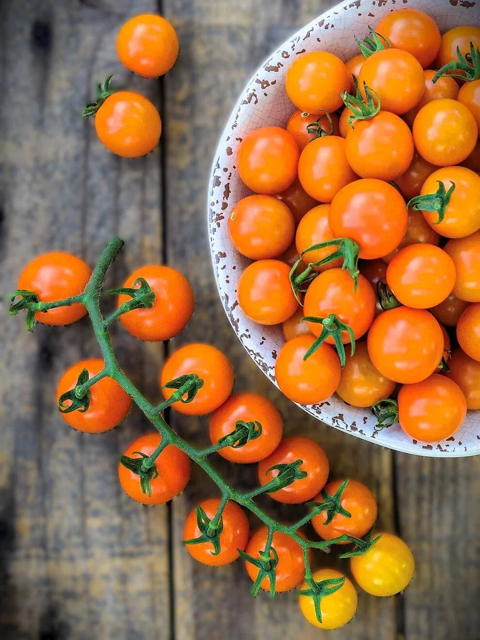 honeycomb tomato flower seeds
