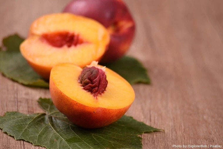 yellow nectarine flower seeds