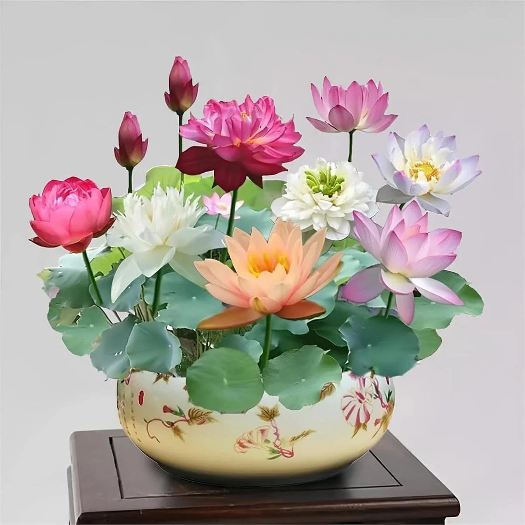 bonsai bowl flower seeds