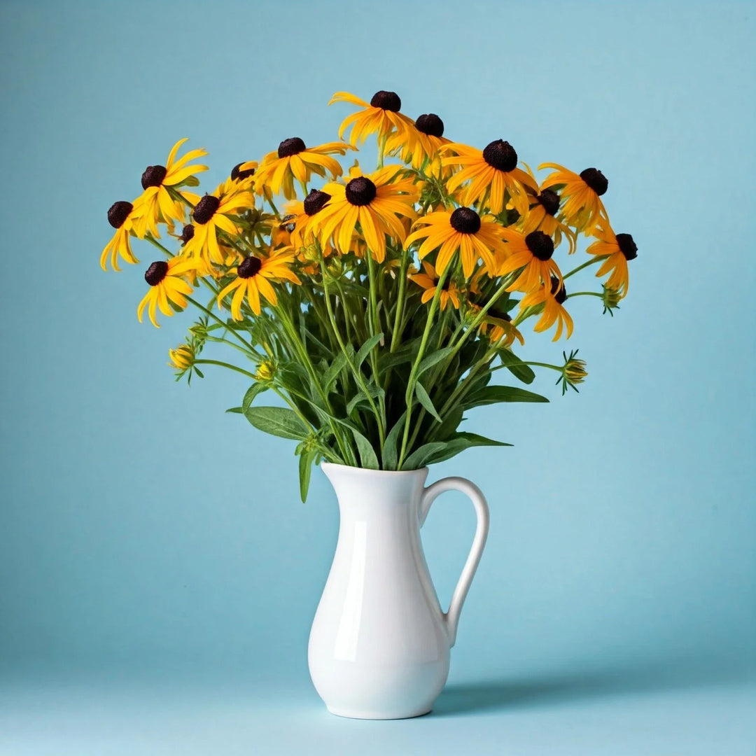 black eyed flower seeds