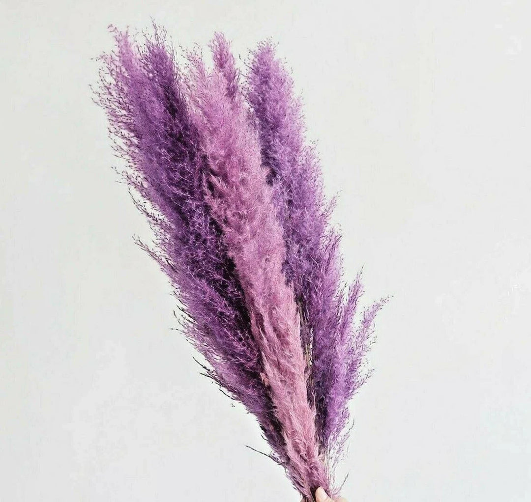 purple seller flower seeds