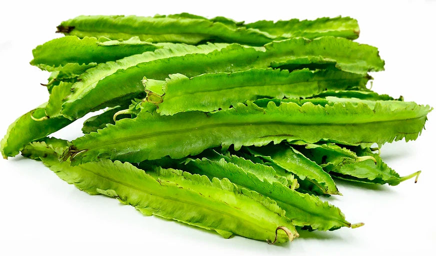 winged bean flower seeds