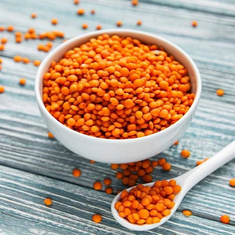 crimson lentil flower seeds