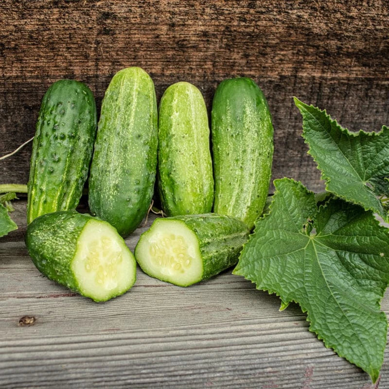 homemade pickles flower seeds