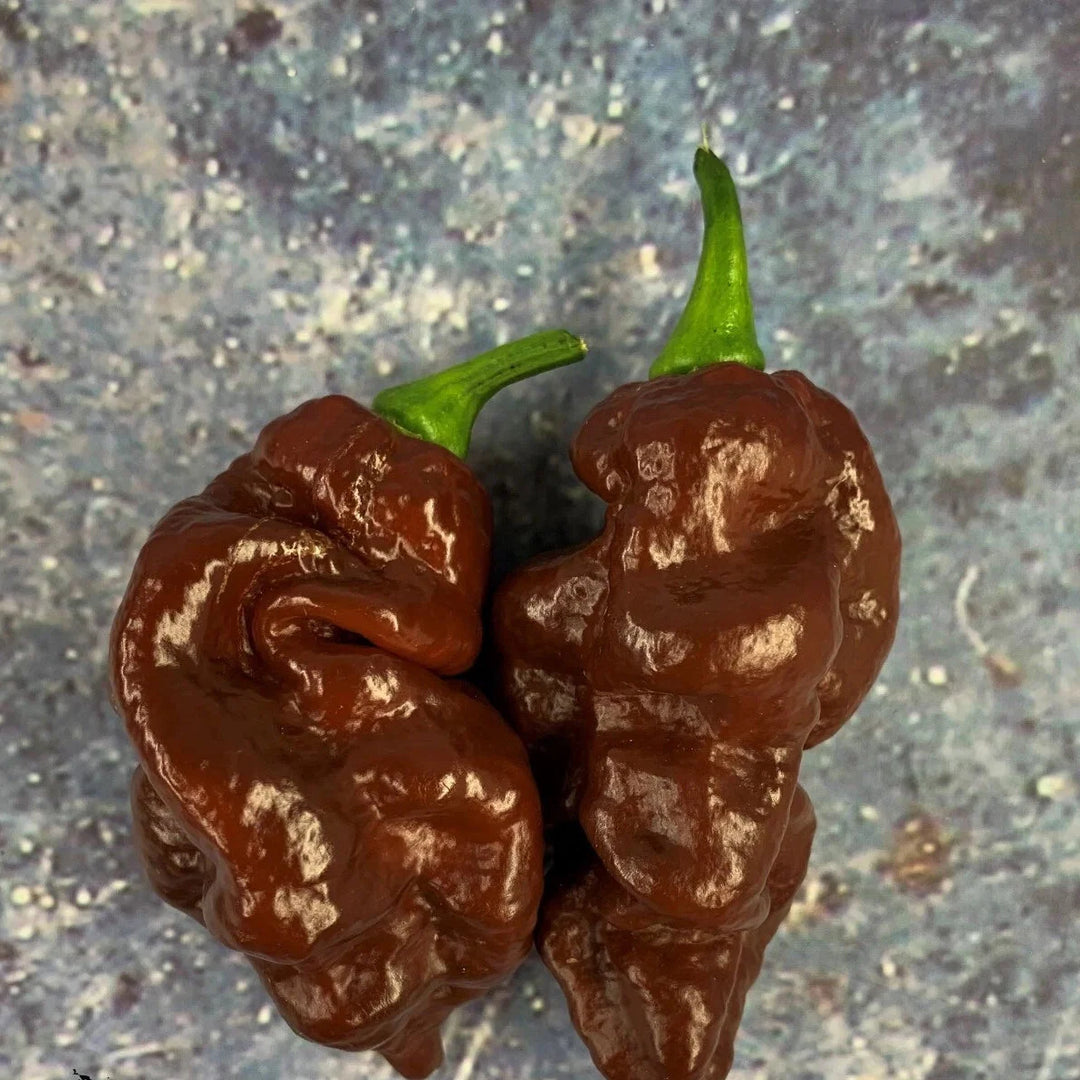 sherwood s flower seeds