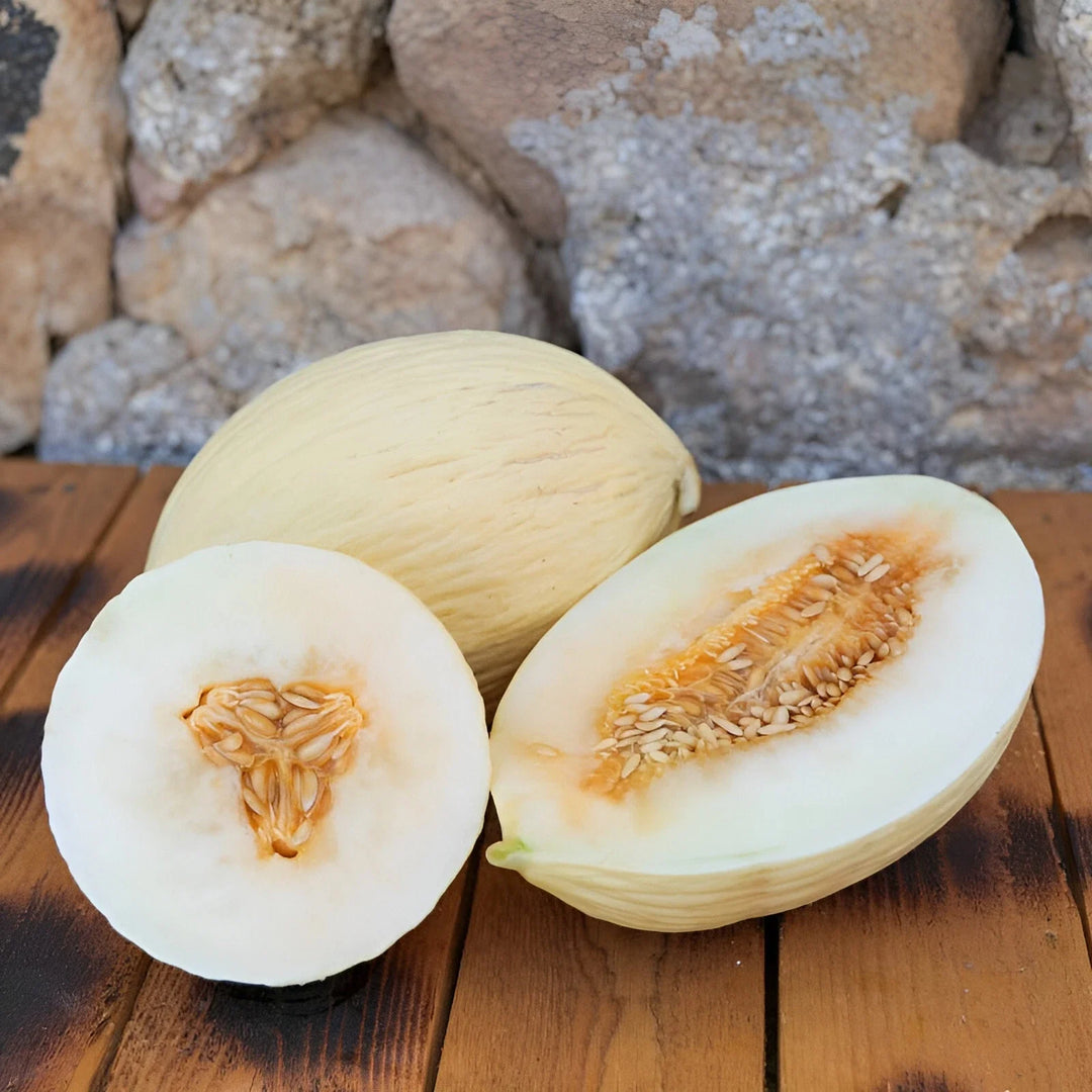 white branco flower seeds