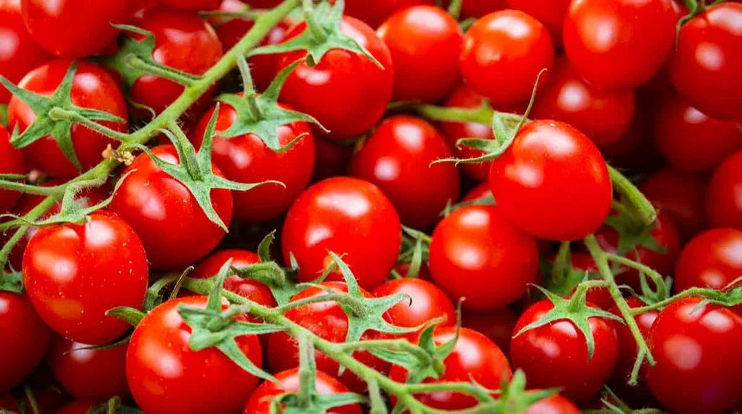 crunchy super flower seeds