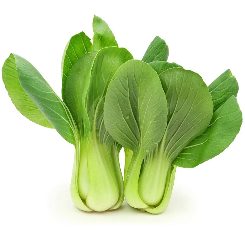 green shanghai flower seeds