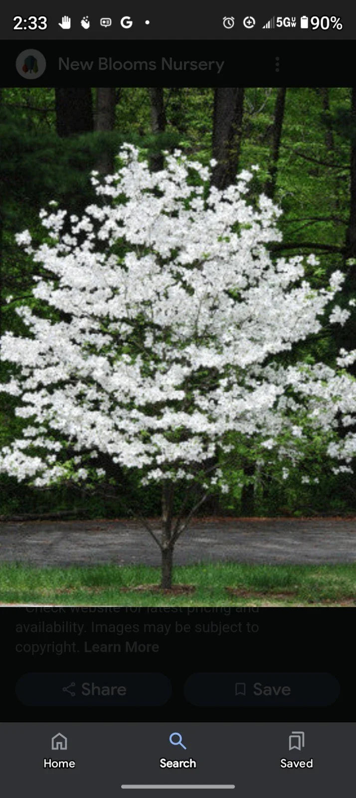 white american flower seeds
