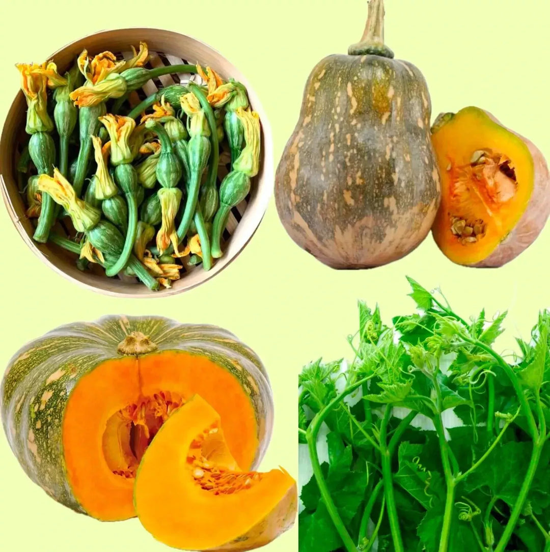 pumpkin flowers flower seeds