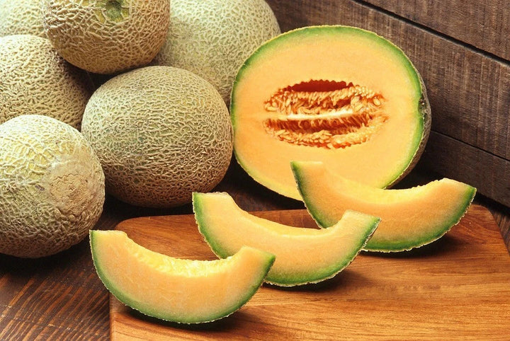 cantaloupe sweet flower seeds