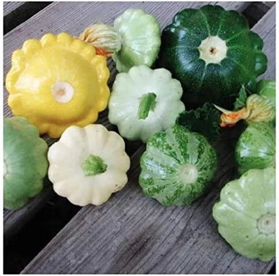 white yellow flower seeds