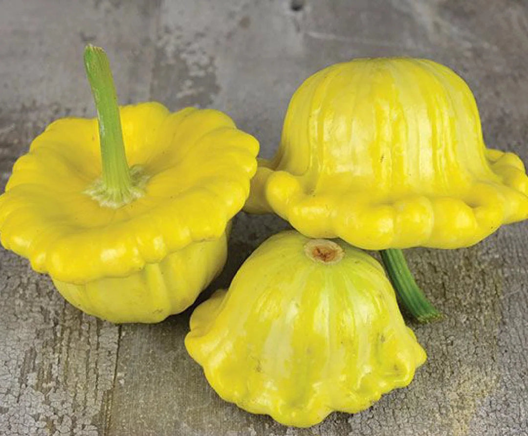 gelber englischer flower seeds