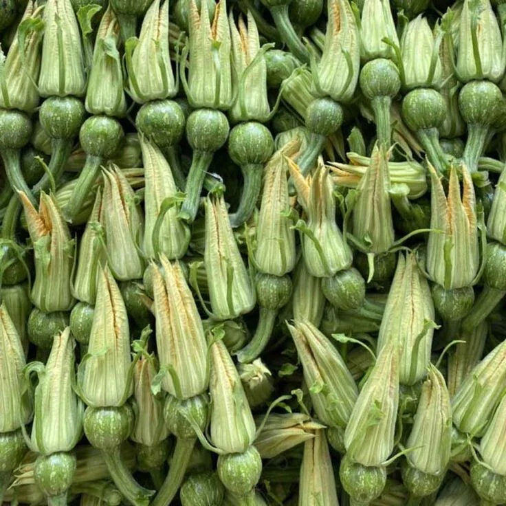 flowers and flower seeds