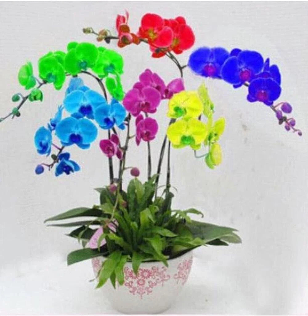 for multi flower seeds