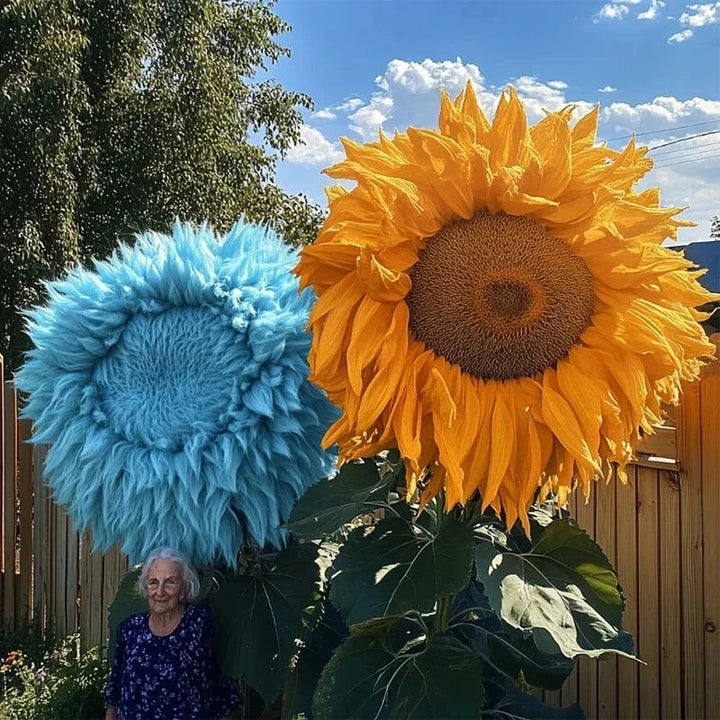 yellow blue flower seeds