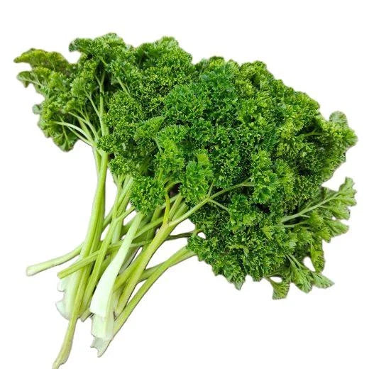 green forest flower seeds