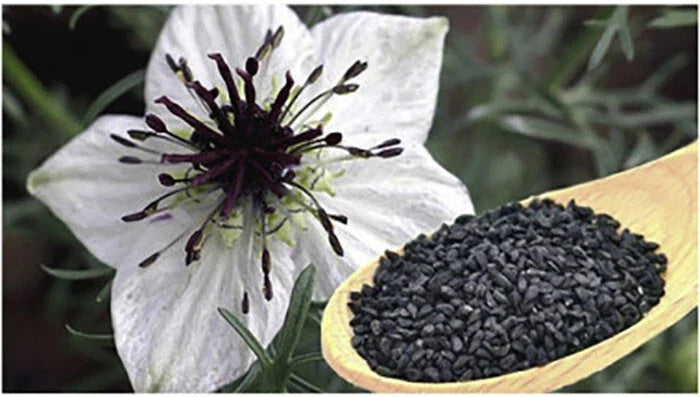 black cumin flower seeds