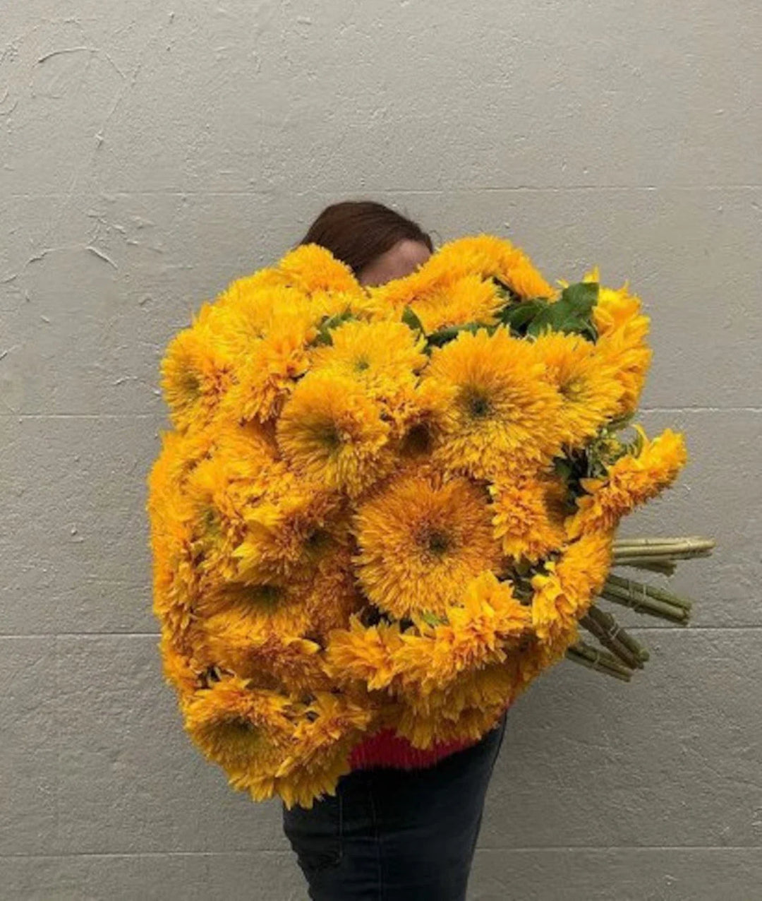 giant teddy flower seeds