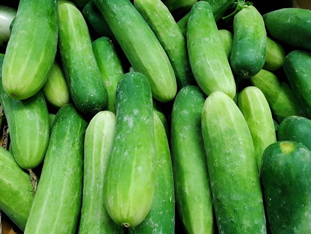 ashley cucumber flower seeds