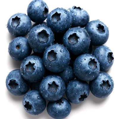 European Bilberry Fruit Seeds for Planting