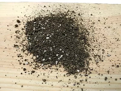 Super Soil Concentrate Exotics Blend Seeds for Planting