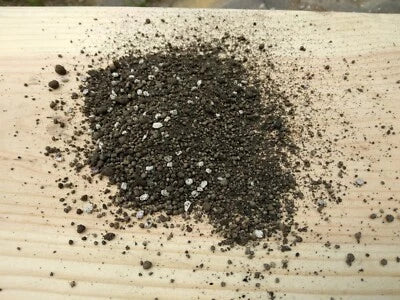 lb super flower seeds