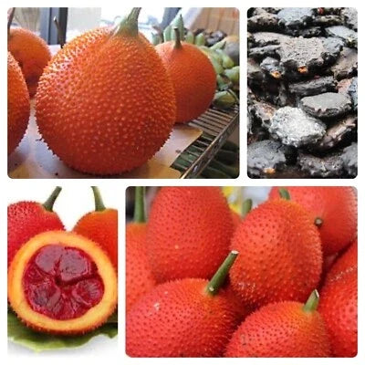 Gac Fruit Seeds for Planting