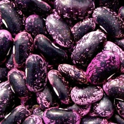 Scarlet Runner Bean Seeds for Planting