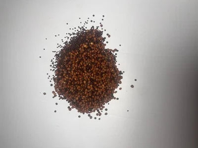 Winter Draw Food Plot Seed Mix Seeds for Planting