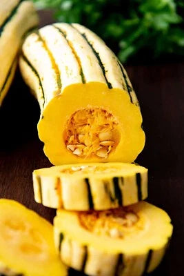 delicata squash flower seeds