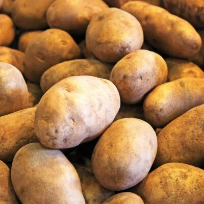 pcsg russet flower seeds